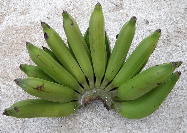 pisang-nangka