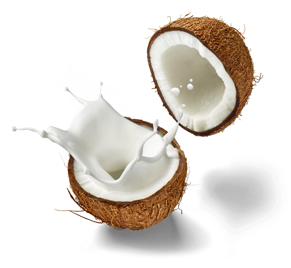 manfaat santan kelapa untuk rambut rontok